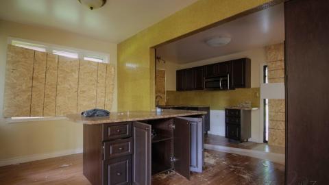 August 2018 - Collages8.jpg