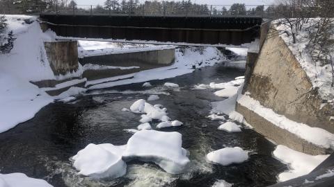 Feb 2021 - 1E2CB9D2-FB64-414A-9C72-819F0E1E6617.jpeg