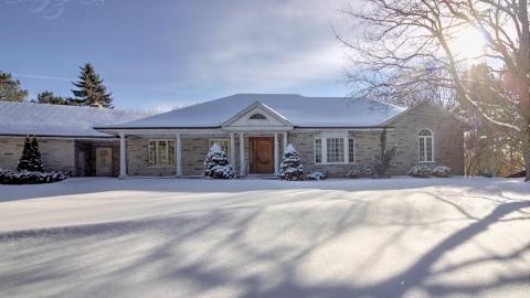 February 2019 - Collages.jpg