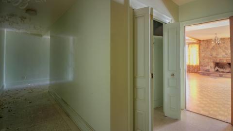 February 2019 - Collages23.jpg