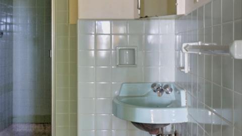 February 2019 - Collages26.jpg