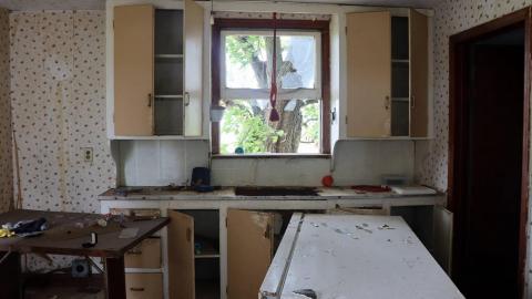 Swamp Shack - 02.jpg