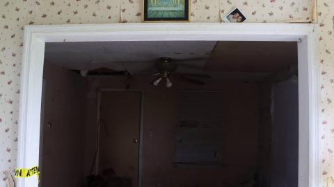 Swamp Shack - 04.jpg