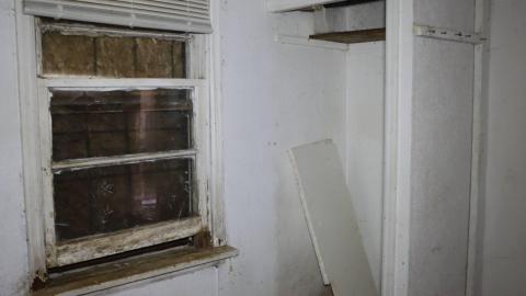 Swamp Shack - 05.jpg