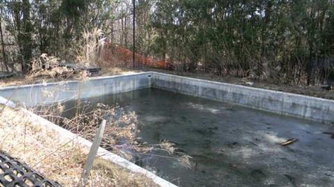 House - April 2011 - 9th-Line-Home,-Bridge-and-Barn13.jpg