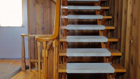 Photo from Shine A Light July '20