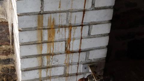 Shine A Light July '20 - DSC05940.JPG