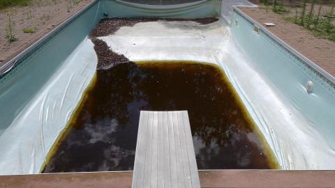 Shine A Light July '20 - DSC05947.JPG