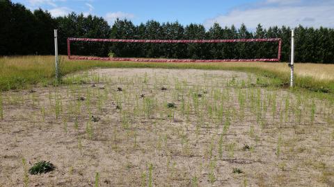 Shine A Light July '20 - DSC05969.JPG