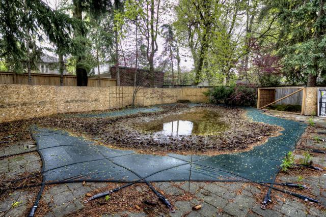 Toronto Classic photo 4