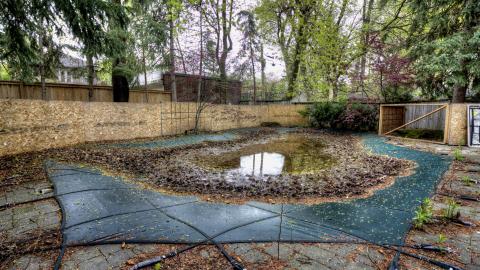 Toronto Classic photo 4