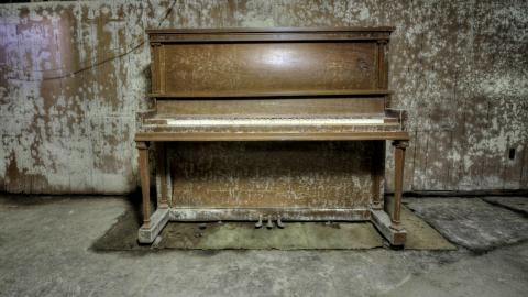 February 2020 - Collages45.jpg