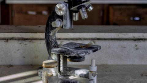 September 2019 - Collages24.jpg