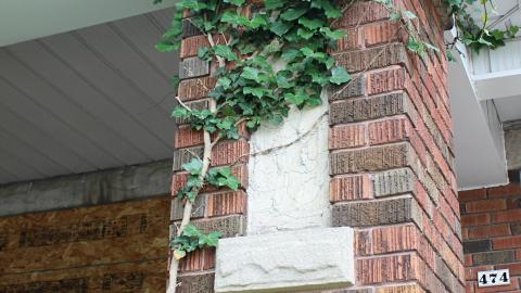 Under The Queens Rule photo 5