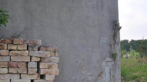 RIM Park Barn - DSC_0240.JPG