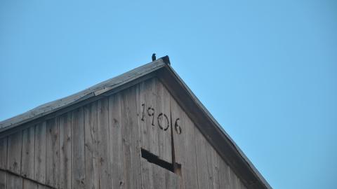 RIM Park Barn - DSC_0259.JPG