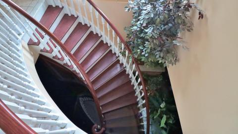 May 2020 - IMG_0703.JPG