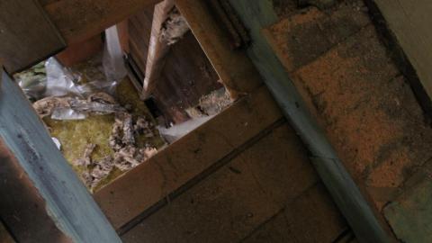 No Vents, No Heat - IMG_7773.JPG