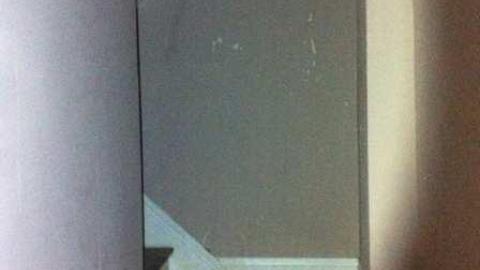 Photo from evergreen interior