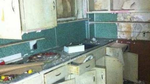 Photo from evergreen interior