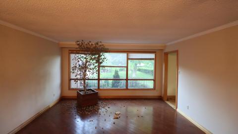 Dead plant house 2K20 - IMG_0721.JPG