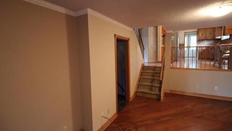 Dead plant house 2K20 - IMG_0732.JPG