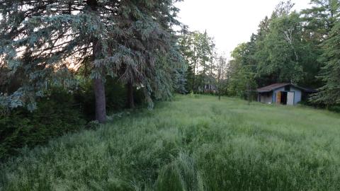 Dead plant house 2K20 - IMG_0746.JPG