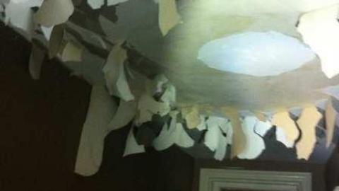 evergreen interior - Evergreen13.jpg