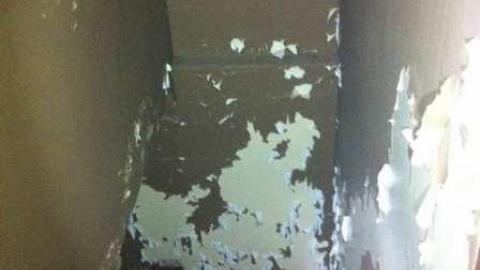 evergreen interior - Evergreen14.jpg