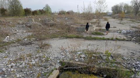 Tiny Tiles (2016) - 20160507_182243.jpg