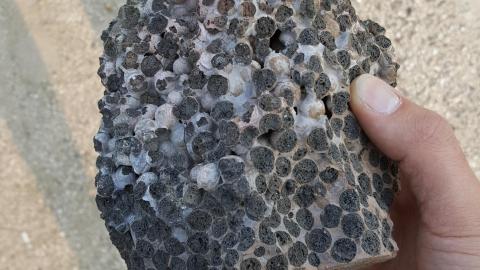 Tiny Tiles (2016) - 20160507_183012.jpg