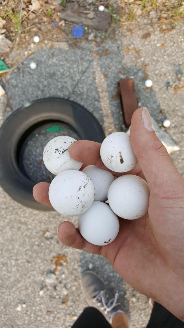 Weaver Rd Tile Shop photo 3