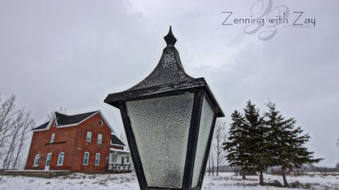 February 2017 - Collages.jpg