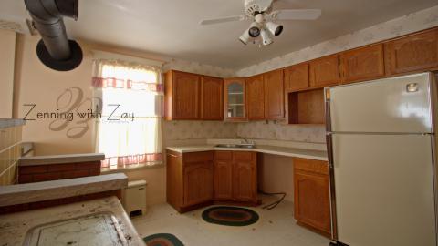 House of Dead Birds & Bats photo 5