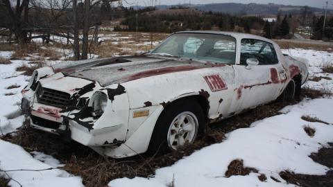 February & July 2016 - Feb 2016 370.JPG