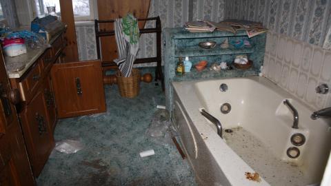 February & July 2016 - Feb 2016 425.JPG