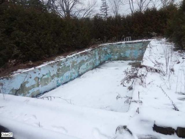 Neglected Manor photo 3