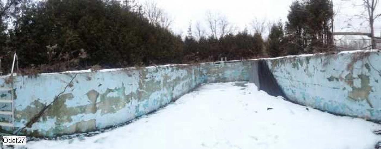 Exterior - Neglected-Manor86.jpg