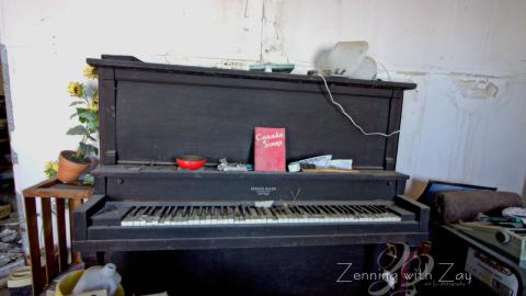 January 2017 - Collages.jpg