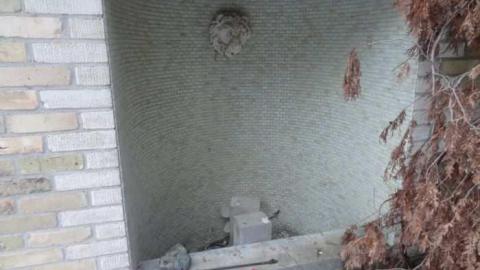 Exterior - Neglected-Manor94.jpg