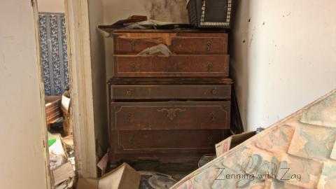 January 2017 - Collages13.jpg