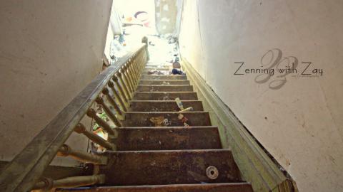 January 2017 - Collages16.jpg