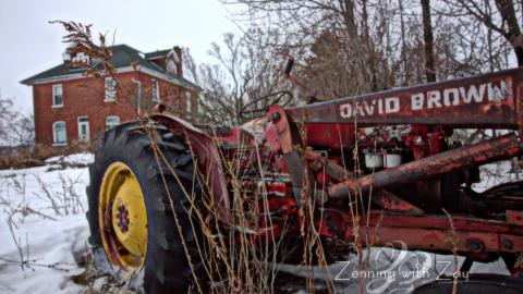 January 2017 - Collages1.jpg