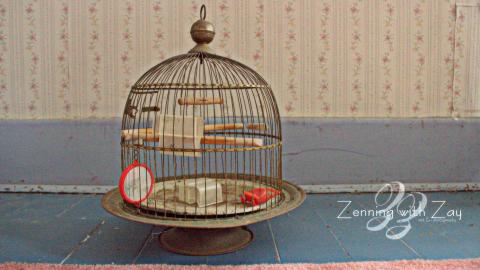 January 2017 - Collages20.jpg