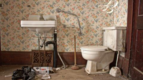 November 2016 - Collages13.jpg