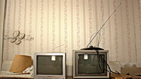 November 2016 - Collages17.jpg