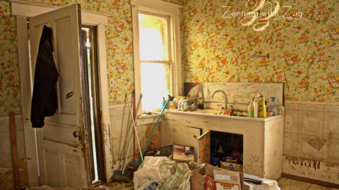 November 2016 - Collages27.jpg