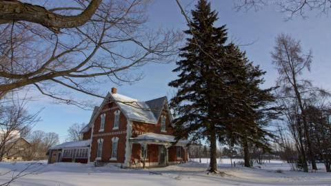 January 2017 - Collages25.jpg