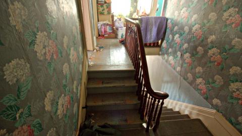 January 2017 - Collages9.jpg