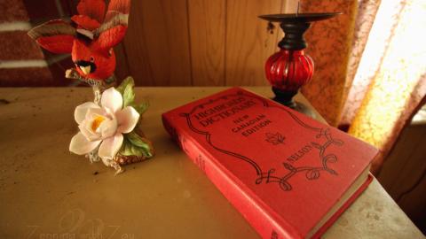 January 2017 - Collages16.jpg